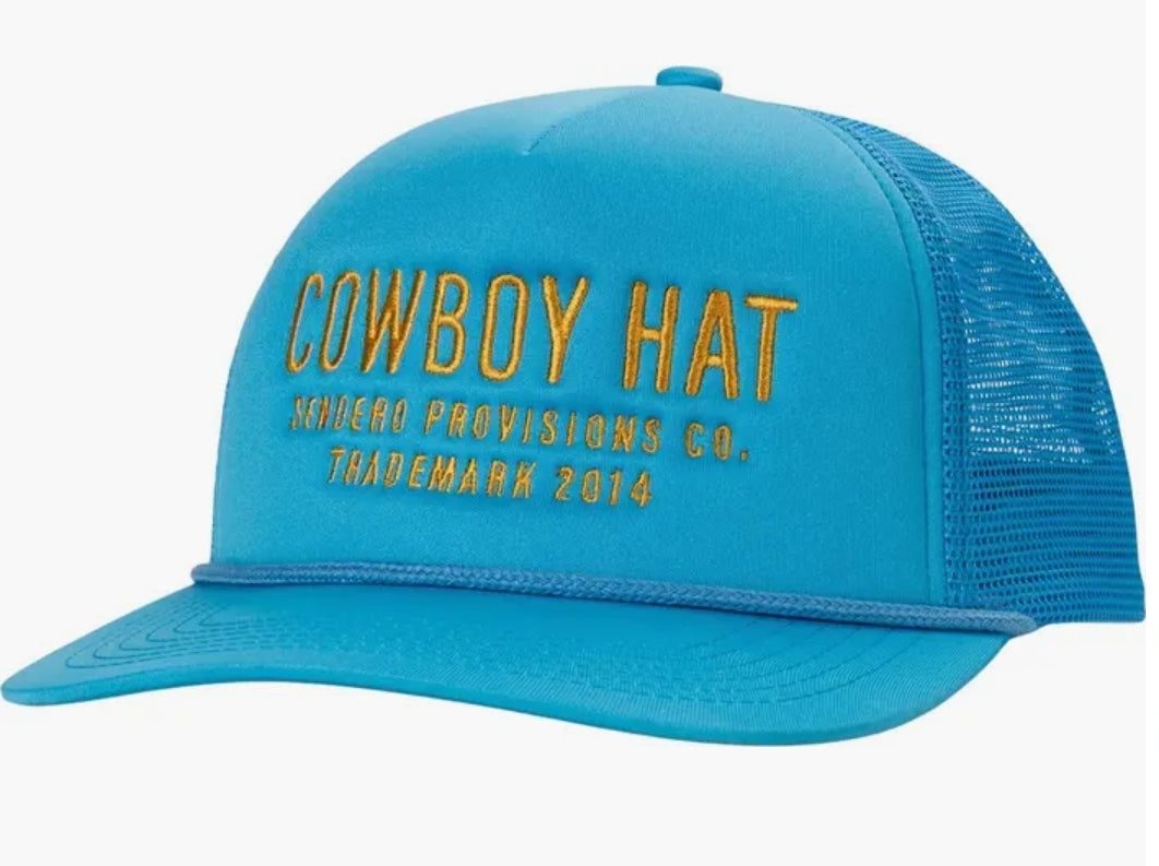 Cowboy Hat: Teal