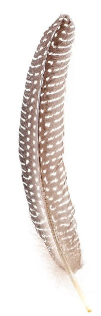 Cattleman Cowboy Hat Customize