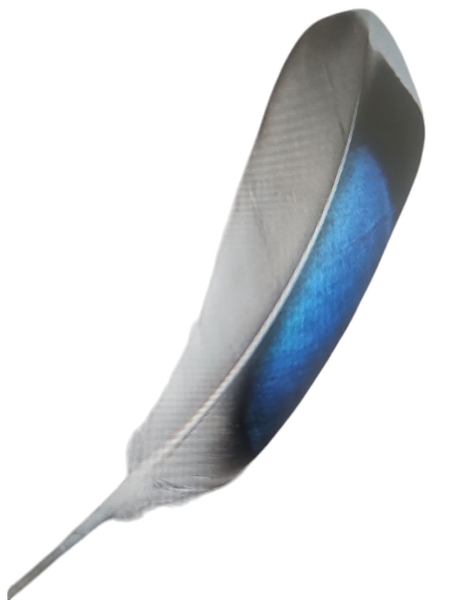 Cattleman Cowboy Hat Customize