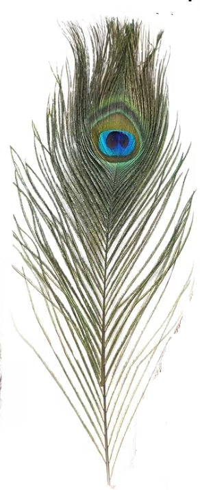 Cattleman Cowboy Hat Customize