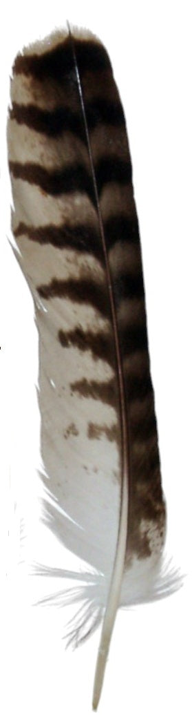 Cattleman Cowboy Hat Customize