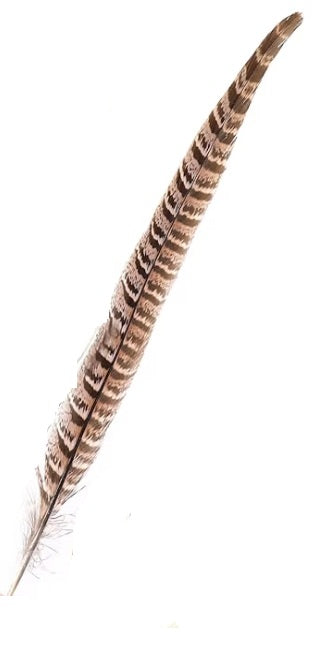 Cattleman Cowboy Hat Customize